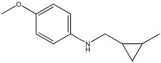 (4-methoxyphenyl)(2-methylcyclopropyl)methylamine,,结构式