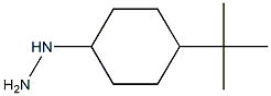 (4-tert-butylcyclohexyl)hydrazine Struktur