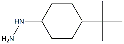 (4-tert-butylcyclohexyl)hydrazine Structure