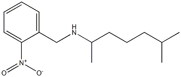 (6-methylheptan-2-yl)[(2-nitrophenyl)methyl]amine 化学構造式