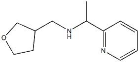 (oxolan-3-ylmethyl)[1-(pyridin-2-yl)ethyl]amine|