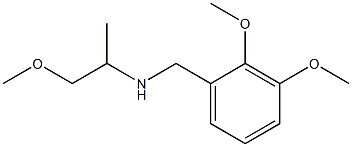 [(2,3-dimethoxyphenyl)methyl](1-methoxypropan-2-yl)amine Struktur