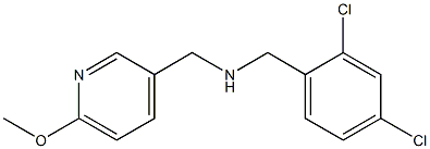[(2,4-dichlorophenyl)methyl][(6-methoxypyridin-3-yl)methyl]amine Structure