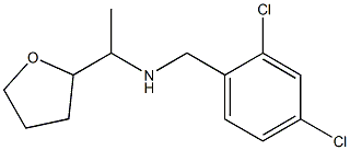 [(2,4-dichlorophenyl)methyl][1-(oxolan-2-yl)ethyl]amine 结构式