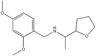 [(2,4-dimethoxyphenyl)methyl][1-(oxolan-2-yl)ethyl]amine 化学構造式