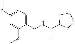 [(2,4-dimethoxyphenyl)methyl][1-(oxolan-2-yl)ethyl]amine 结构式