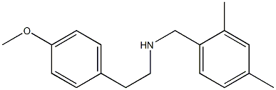 [(2,4-dimethylphenyl)methyl][2-(4-methoxyphenyl)ethyl]amine