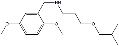 [(2,5-dimethoxyphenyl)methyl][3-(2-methylpropoxy)propyl]amine,,结构式