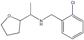 [(2-chlorophenyl)methyl][1-(oxolan-2-yl)ethyl]amine Structure