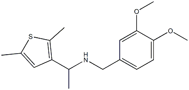 [(3,4-dimethoxyphenyl)methyl][1-(2,5-dimethylthiophen-3-yl)ethyl]amine Struktur