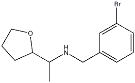 [(3-bromophenyl)methyl][1-(oxolan-2-yl)ethyl]amine|