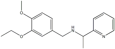 [(3-ethoxy-4-methoxyphenyl)methyl][1-(pyridin-2-yl)ethyl]amine Structure