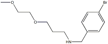  [(4-bromophenyl)methyl][3-(2-methoxyethoxy)propyl]amine