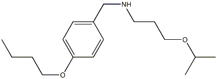 [(4-butoxyphenyl)methyl][3-(propan-2-yloxy)propyl]amine,,结构式