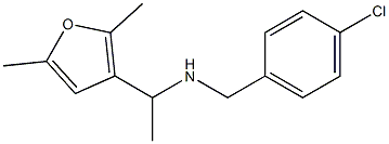 [(4-chlorophenyl)methyl][1-(2,5-dimethylfuran-3-yl)ethyl]amine|