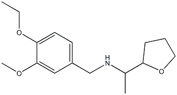 [(4-ethoxy-3-methoxyphenyl)methyl][1-(oxolan-2-yl)ethyl]amine Struktur