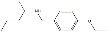 [(4-ethoxyphenyl)methyl](pentan-2-yl)amine Struktur