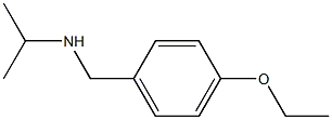 [(4-ethoxyphenyl)methyl](propan-2-yl)amine