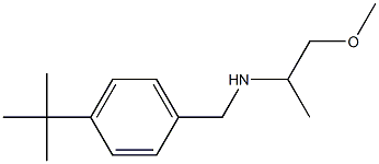 [(4-tert-butylphenyl)methyl](1-methoxypropan-2-yl)amine Struktur