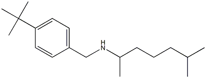 [(4-tert-butylphenyl)methyl](6-methylheptan-2-yl)amine 结构式