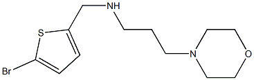[(5-bromothiophen-2-yl)methyl][3-(morpholin-4-yl)propyl]amine,,结构式