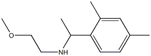  [1-(2,4-dimethylphenyl)ethyl](2-methoxyethyl)amine