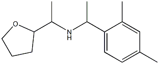  [1-(2,4-dimethylphenyl)ethyl][1-(oxolan-2-yl)ethyl]amine