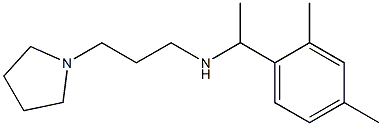 [1-(2,4-dimethylphenyl)ethyl][3-(pyrrolidin-1-yl)propyl]amine 化学構造式