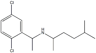 [1-(2,5-dichlorophenyl)ethyl](5-methylhexan-2-yl)amine