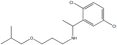 [1-(2,5-dichlorophenyl)ethyl][3-(2-methylpropoxy)propyl]amine Structure