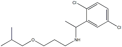 [1-(2,5-dichlorophenyl)ethyl][3-(2-methylpropoxy)propyl]amine Struktur