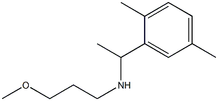 [1-(2,5-dimethylphenyl)ethyl](3-methoxypropyl)amine