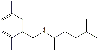 [1-(2,5-dimethylphenyl)ethyl](5-methylhexan-2-yl)amine,,结构式