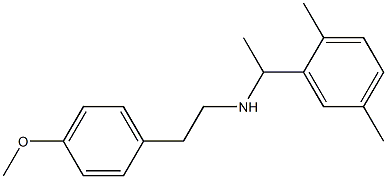  [1-(2,5-dimethylphenyl)ethyl][2-(4-methoxyphenyl)ethyl]amine