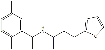  [1-(2,5-dimethylphenyl)ethyl][4-(furan-2-yl)butan-2-yl]amine