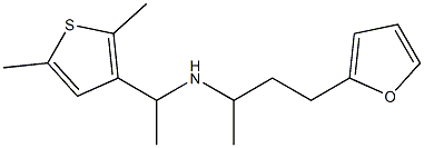[1-(2,5-dimethylthiophen-3-yl)ethyl][4-(furan-2-yl)butan-2-yl]amine,,结构式