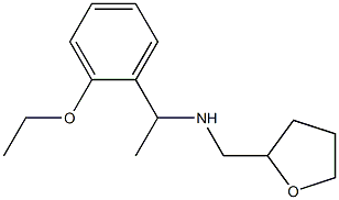 [1-(2-ethoxyphenyl)ethyl](oxolan-2-ylmethyl)amine 化学構造式