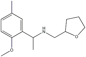 [1-(2-methoxy-5-methylphenyl)ethyl](oxolan-2-ylmethyl)amine,,结构式