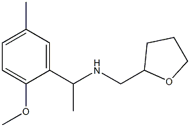 [1-(2-methoxy-5-methylphenyl)ethyl](oxolan-2-ylmethyl)amine