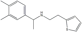 [1-(3,4-dimethylphenyl)ethyl][2-(thiophen-2-yl)ethyl]amine