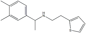 [1-(3,4-dimethylphenyl)ethyl][2-(thiophen-2-yl)ethyl]amine 结构式