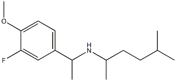 [1-(3-fluoro-4-methoxyphenyl)ethyl](5-methylhexan-2-yl)amine 化学構造式