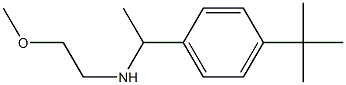 [1-(4-tert-butylphenyl)ethyl](2-methoxyethyl)amine,,结构式