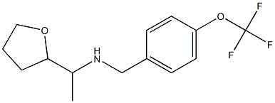 [1-(oxolan-2-yl)ethyl]({[4-(trifluoromethoxy)phenyl]methyl})amine