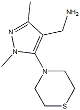[1,3-dimethyl-5-(thiomorpholin-4-yl)-1H-pyrazol-4-yl]methanamine