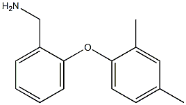 [2-(2,4-dimethylphenoxy)phenyl]methanamine 结构式