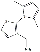 [2-(2,5-dimethyl-1H-pyrrol-1-yl)thien-3-yl]methylamine,,结构式