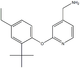 [2-(2-tert-butyl-4-ethylphenoxy)pyridin-4-yl]methanamine,,结构式