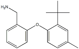 [2-(2-tert-butyl-4-methylphenoxy)phenyl]methanamine