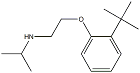[2-(2-tert-butylphenoxy)ethyl](propan-2-yl)amine